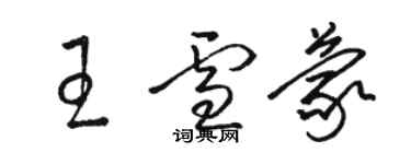 駱恆光王雪蒙草書個性簽名怎么寫