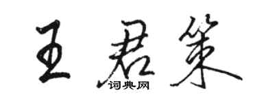 駱恆光王君策行書個性簽名怎么寫