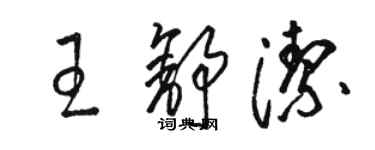 駱恆光王舒潔草書個性簽名怎么寫