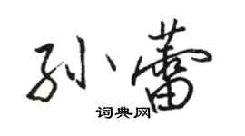 駱恆光孫蕾行書個性簽名怎么寫