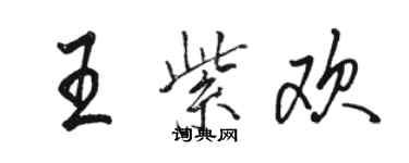 駱恆光王紫歡行書個性簽名怎么寫