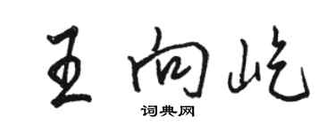 駱恆光王向屹行書個性簽名怎么寫
