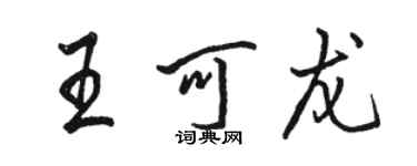 駱恆光王可龍行書個性簽名怎么寫