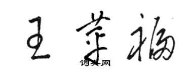 駱恆光王苹福草書個性簽名怎么寫