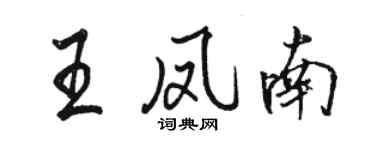 駱恆光王鳳南行書個性簽名怎么寫