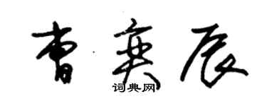 朱錫榮曹奕辰草書個性簽名怎么寫