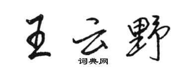 駱恆光王雲野行書個性簽名怎么寫