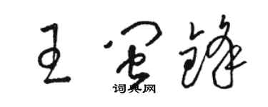 駱恆光王閩鋒草書個性簽名怎么寫