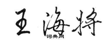 駱恆光王海將行書個性簽名怎么寫