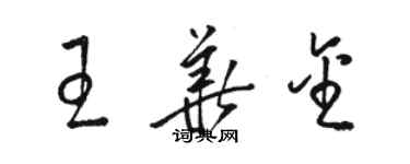 駱恆光王華金草書個性簽名怎么寫