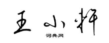 梁錦英王小軒草書個性簽名怎么寫