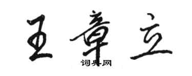 駱恆光王章立行書個性簽名怎么寫