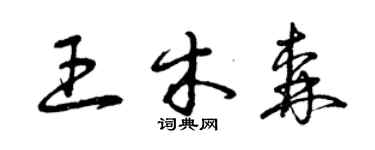 曾慶福王木森草書個性簽名怎么寫