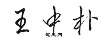 駱恆光王中朴行書個性簽名怎么寫