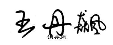 朱錫榮王丹飈草書個性簽名怎么寫