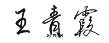 駱恆光王青霞行書個性簽名怎么寫
