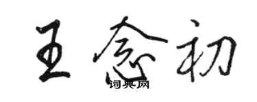 駱恆光王念初行書個性簽名怎么寫