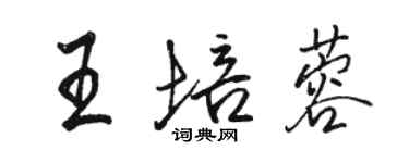 駱恆光王培蓉行書個性簽名怎么寫