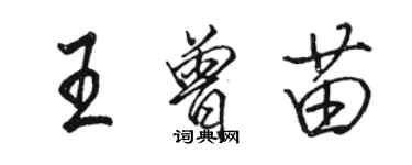 駱恆光王曾苗行書個性簽名怎么寫