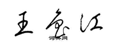 梁錦英王魯江草書個性簽名怎么寫