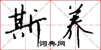 斯拉夫字母的意思_斯拉夫字母的解釋_國語詞典