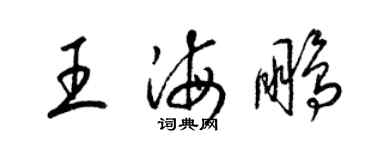 梁錦英王海鵬草書個性簽名怎么寫