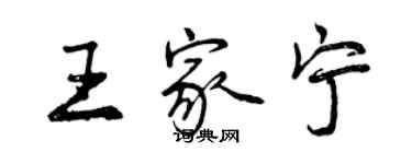 曾慶福王家寧行書個性簽名怎么寫