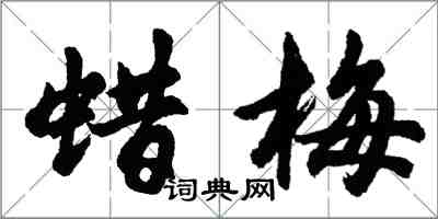 胡問遂蠟梅行書怎么寫