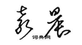 駱恆光袁晨草書個性簽名怎么寫