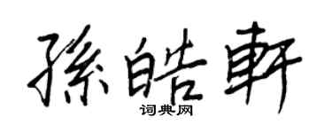王正良孫皓軒行書個性簽名怎么寫