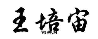 胡問遂王培宙行書個性簽名怎么寫