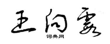 曾慶福王向霞草書個性簽名怎么寫