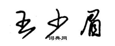 朱錫榮王少眉草書個性簽名怎么寫