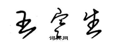 朱錫榮王寒生草書個性簽名怎么寫