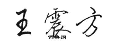 駱恆光王震方行書個性簽名怎么寫