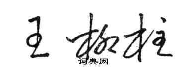 駱恆光王柳柱草書個性簽名怎么寫
