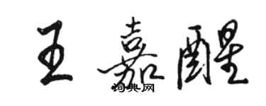 駱恆光王嘉醒行書個性簽名怎么寫