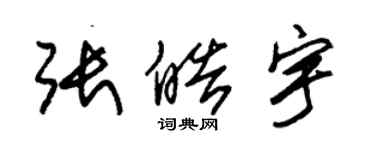 朱錫榮張皓宇草書個性簽名怎么寫