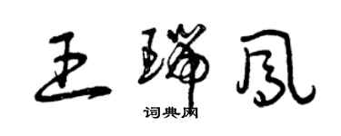 曾慶福王瑞鳳草書個性簽名怎么寫