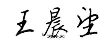 王正良王晨望行書個性簽名怎么寫