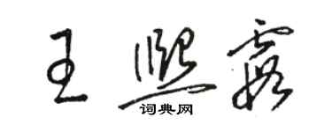 駱恆光王熙霞草書個性簽名怎么寫