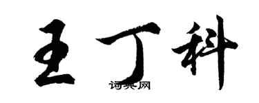 胡問遂王丁科行書個性簽名怎么寫