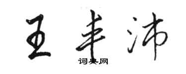 駱恆光王豐沛行書個性簽名怎么寫
