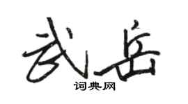 駱恆光武岳行書個性簽名怎么寫