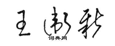 駱恆光王衛新草書個性簽名怎么寫