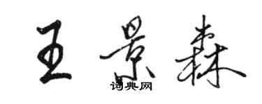 駱恆光王景森行書個性簽名怎么寫