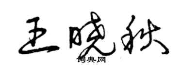 曾慶福王曉秋草書個性簽名怎么寫