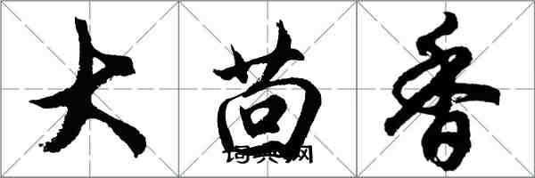 胡問遂大茴香行書怎么寫