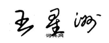 朱錫榮王星洲草書個性簽名怎么寫