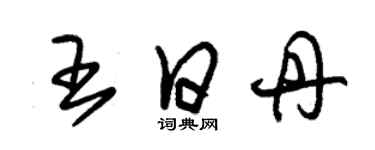 朱錫榮王日丹草書個性簽名怎么寫